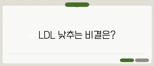 LDL 콜레스테롤 낮추는 방법과 추천 음식