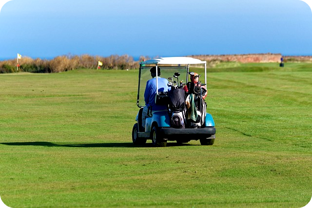 그라파이트와스틸샤프트의차이점