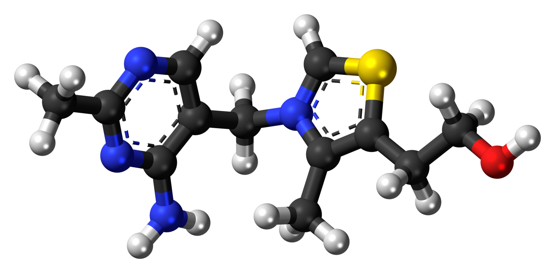 티아민(Thiamine)