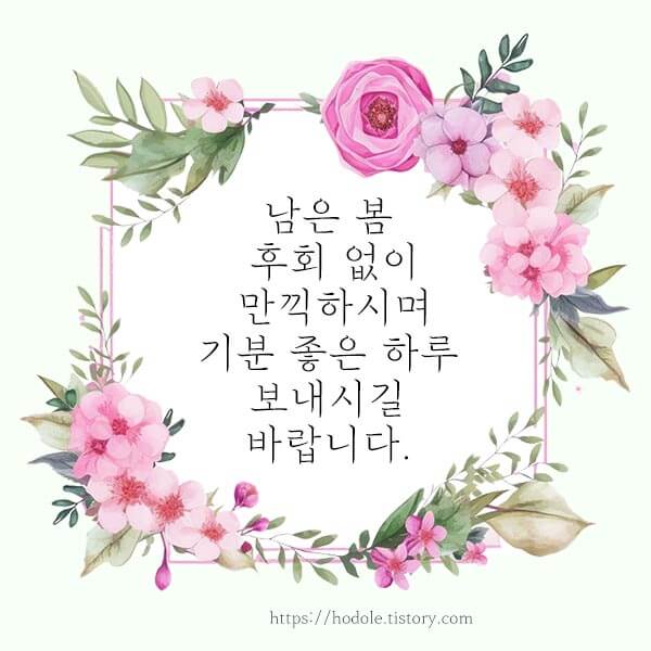 5월 인사말 이미지