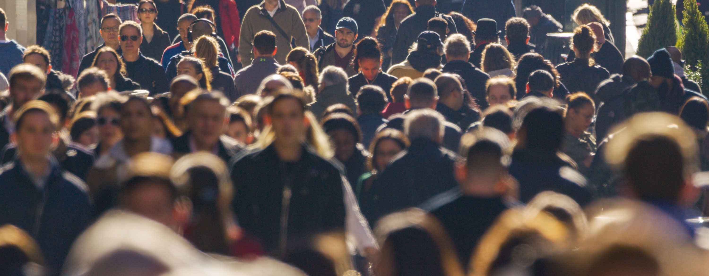 인류는 이상한 종족