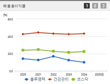 블루엠텍 주가 전망 매출이익 (0508)