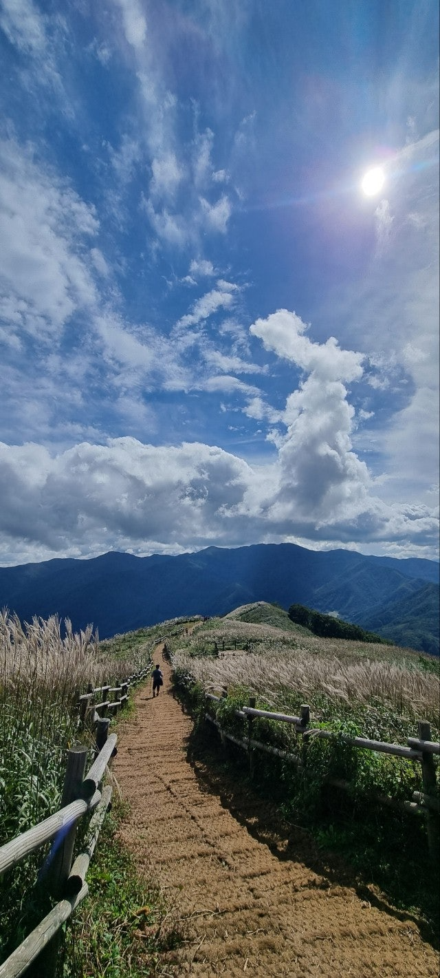 강원도가볼만한곳