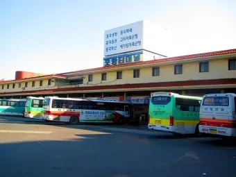 포항 시외버스터미널 시간표 예약 예매_11