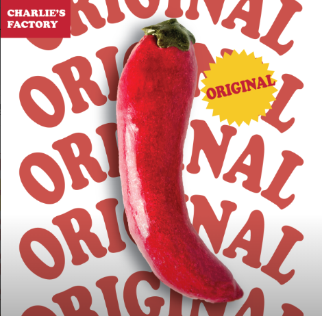 생방송투데이 고추빵 청양