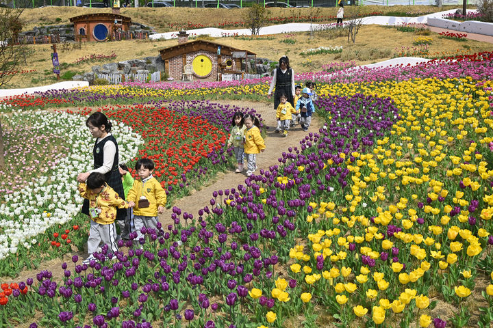 튤립 명소 세천늪테마정원🌷 가는길 부터 애견동반 꿀팁까지!