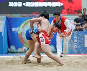 자연특별시괴산 씨름대회