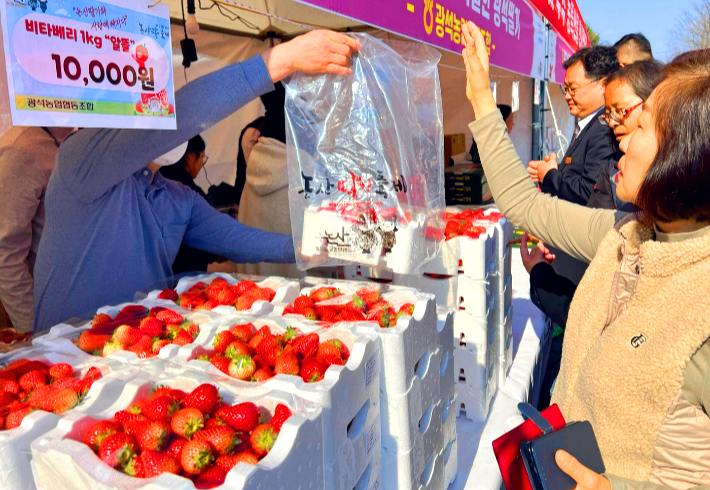 논산딸기축제