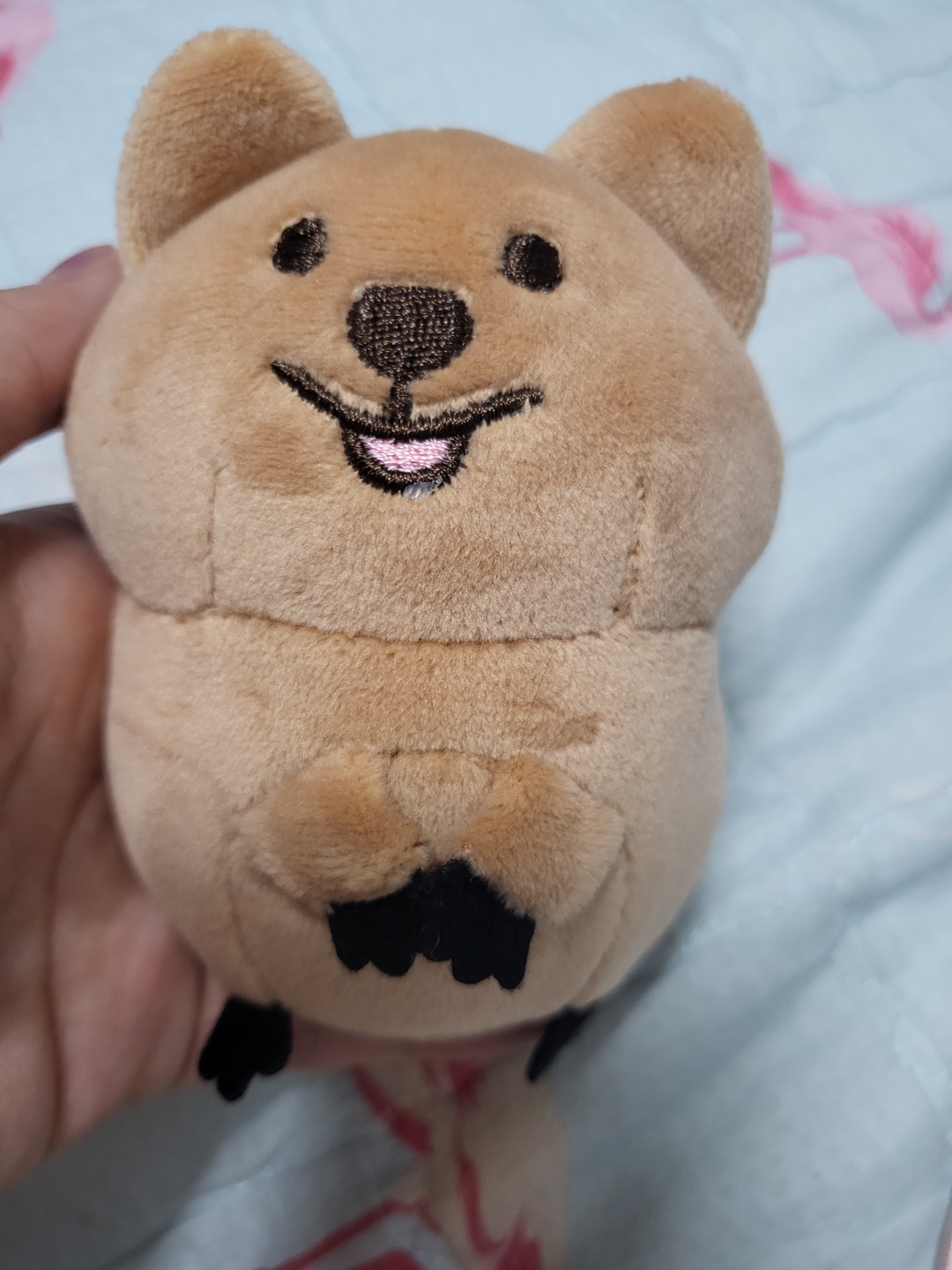 [내돈내산]_영이의_숲_꽃카_스트레스볼_후기(스트레스볼 인형_추천)