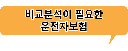 꼼꼼한 비교분석이 필요한 운전자보험