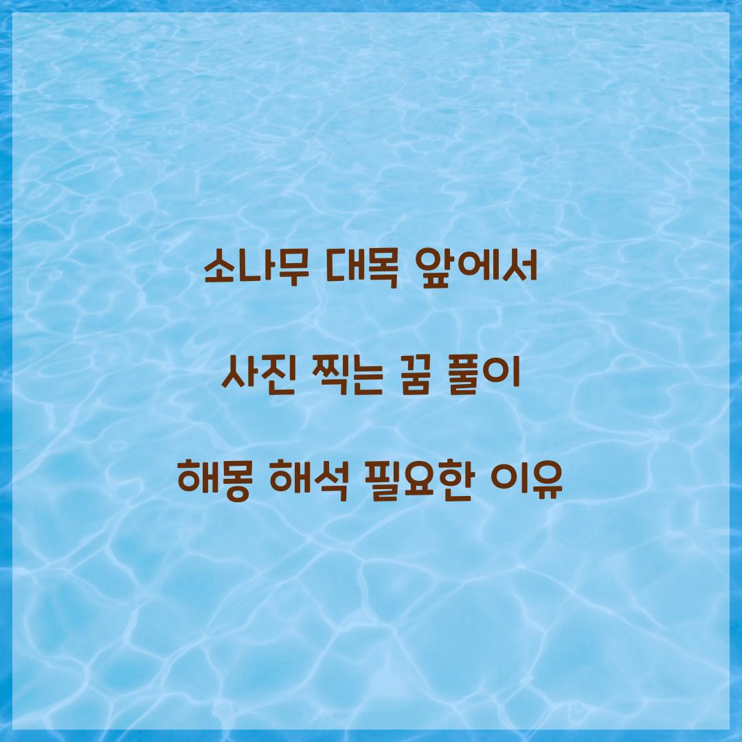 소나무 대목 앞에서 사진을 찍으려고 하는 꿈 풀이 해몽 해석