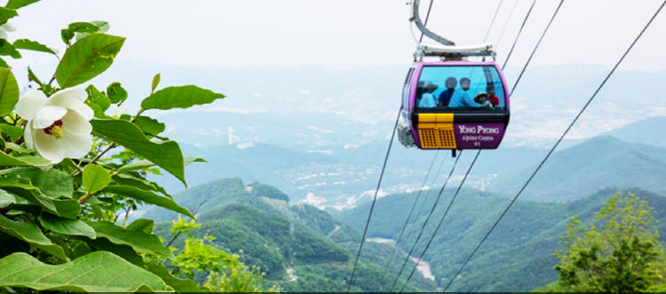 발왕산 케이블카를 타고 올라가는 중