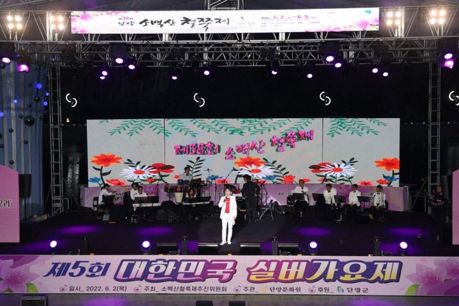 제 40회 단양 소백산 철쭉제 기본정보와 프로그램 정리 정수라 임창근 김완선 출연 