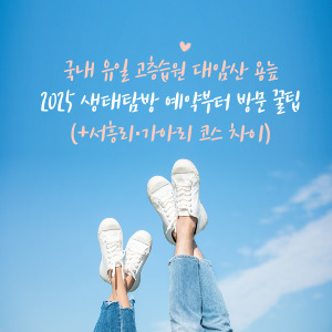 [대암산 용늪 생태탐방] 예약 방법부터 코스 안내, 주의사항까지 총정리