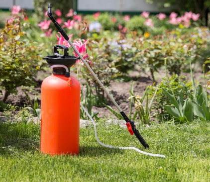 천연 방제 시 주의할 점