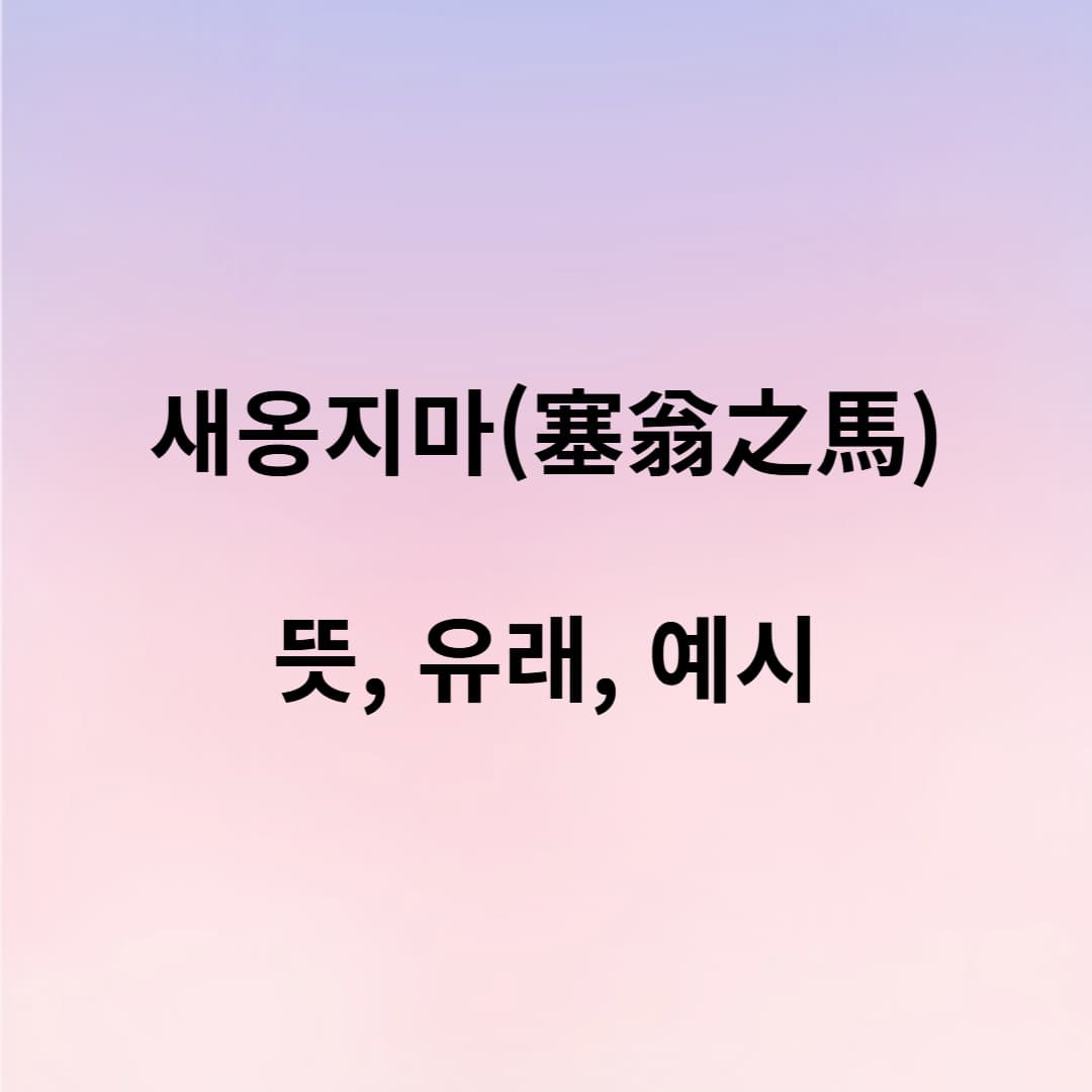 새옹지마 뜻과 유래 – 인생의 변화무쌍함을 말하는 사자성어