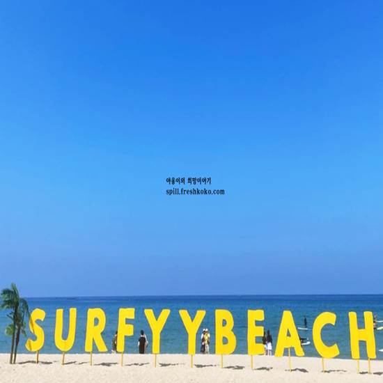 양양 가볼만한곳