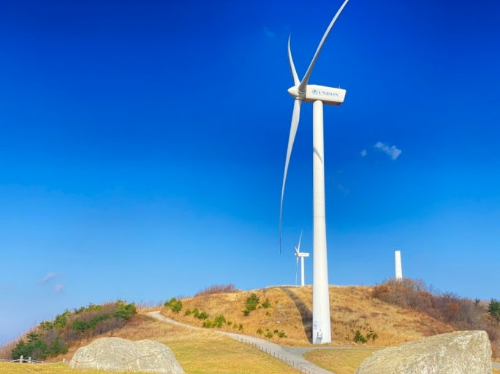 평창 대관령 하늘목장 사진