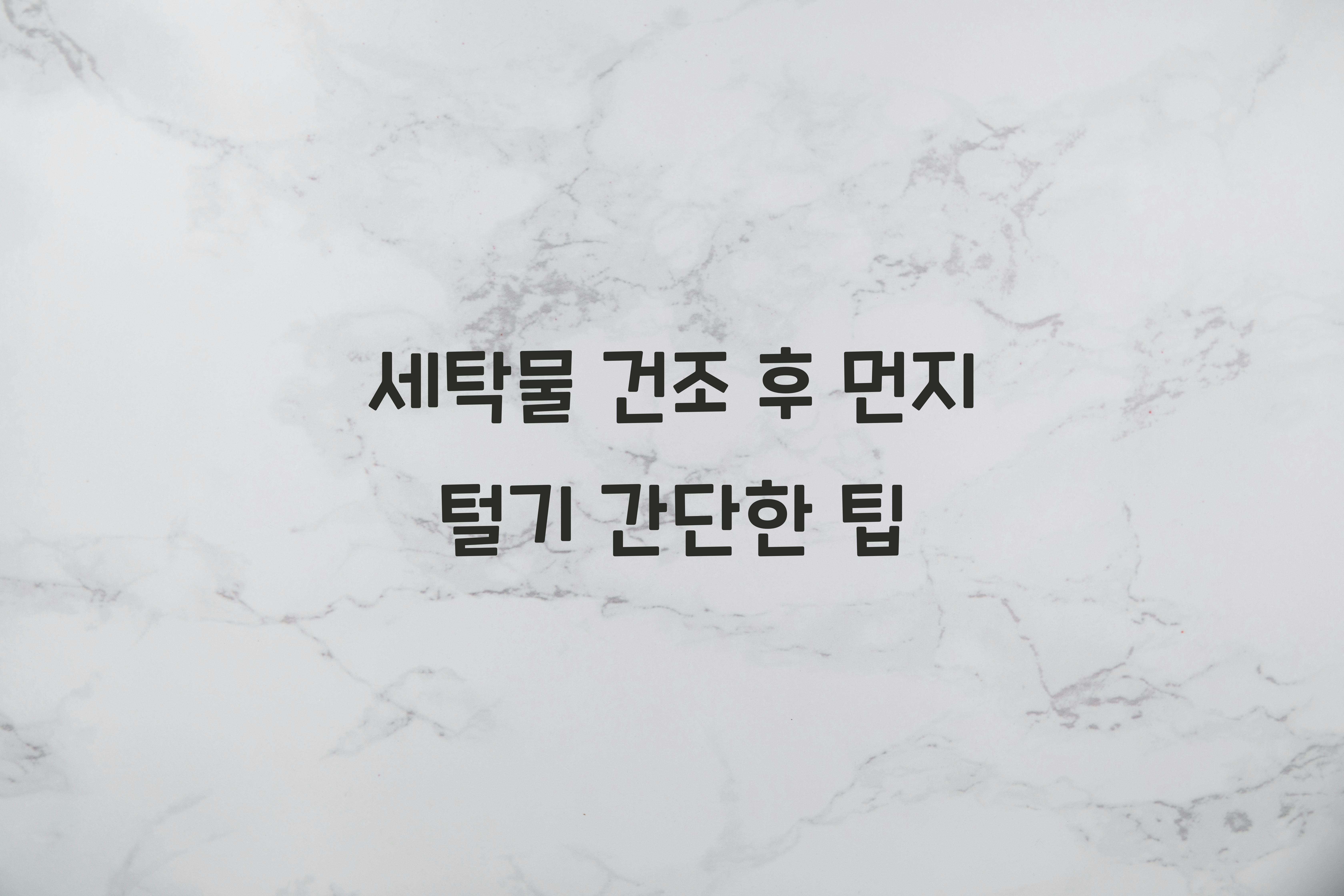 세탁물 건조 후 먼지 털기 쉬운 방법