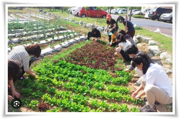 "10월에 심기 좋은 작물 추천" 10월, 새로운 계절을 준비하는 시간...