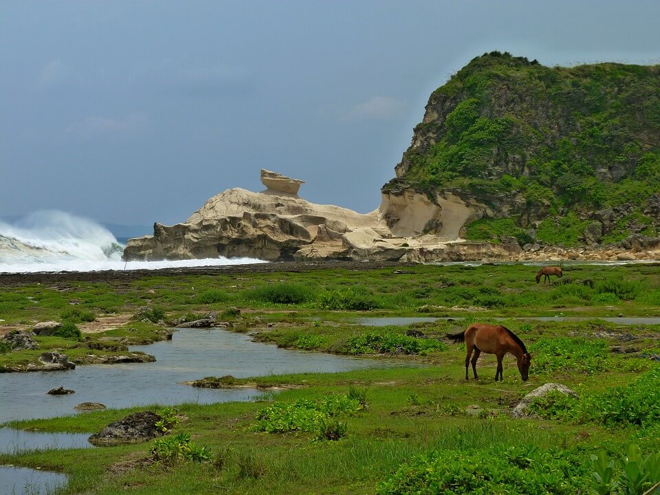3월 항공권 특가