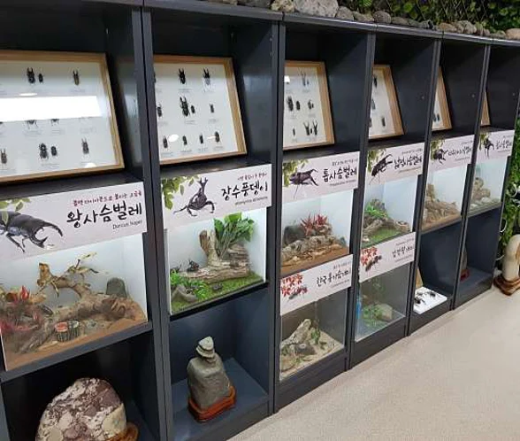 벅스앤미