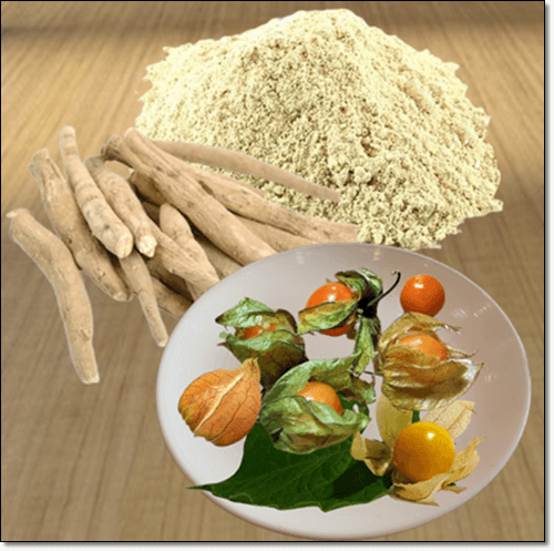 아슈와 간다 효능