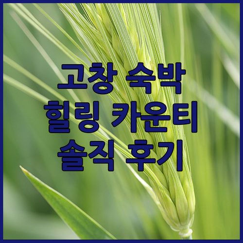고창 힐링 카운티 숙박기! 석정웰파크