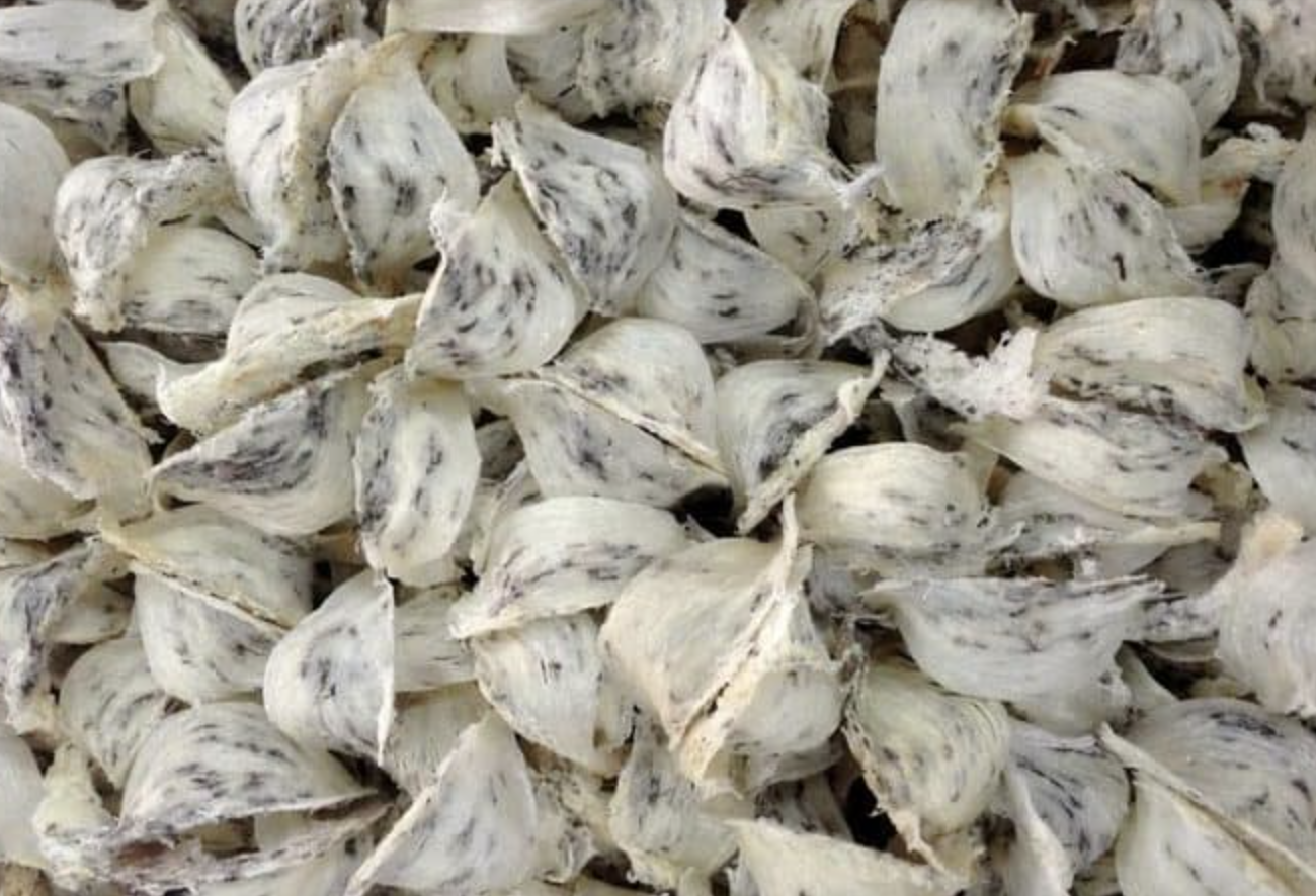 나트랑 쇼핑리스트