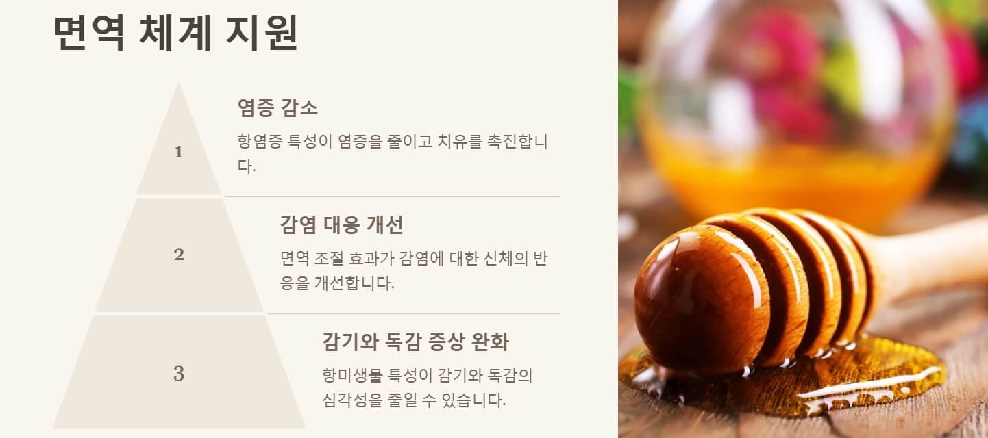 마누카꿀 효능 부작용