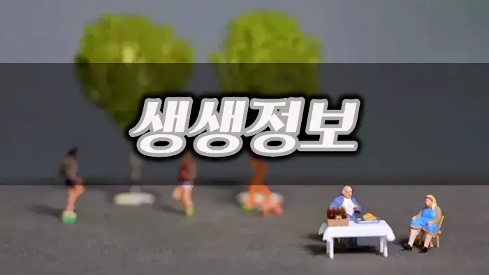 영종도 을왕리 연매출 19억 행복을 굽는 베이커리 디저트 카페 소프트잼바게트 몽블랑 과일브리오슈 맛집 추천