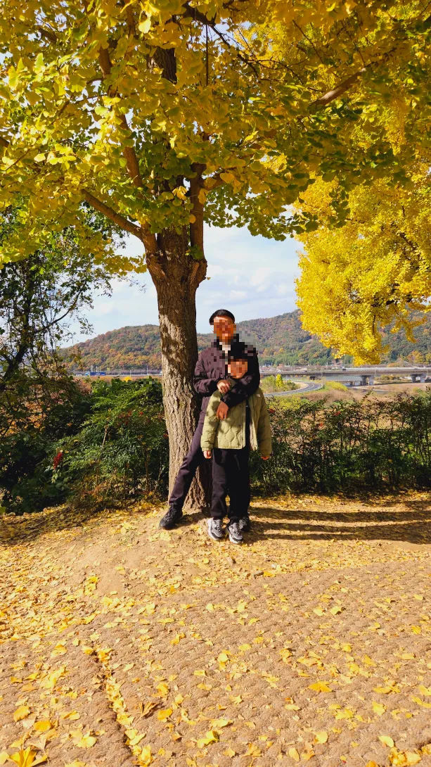 밀양 금시당 은행나무