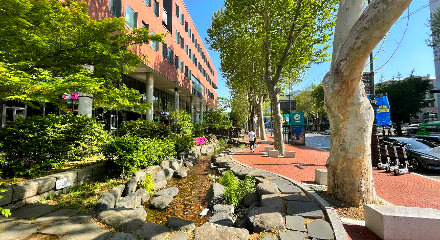 대학로 마로니에 전경3