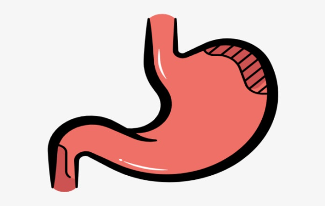 위염의 진단과정