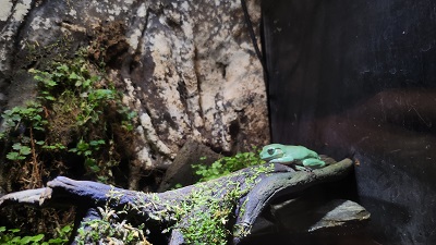아쿠아 플라넷 제주