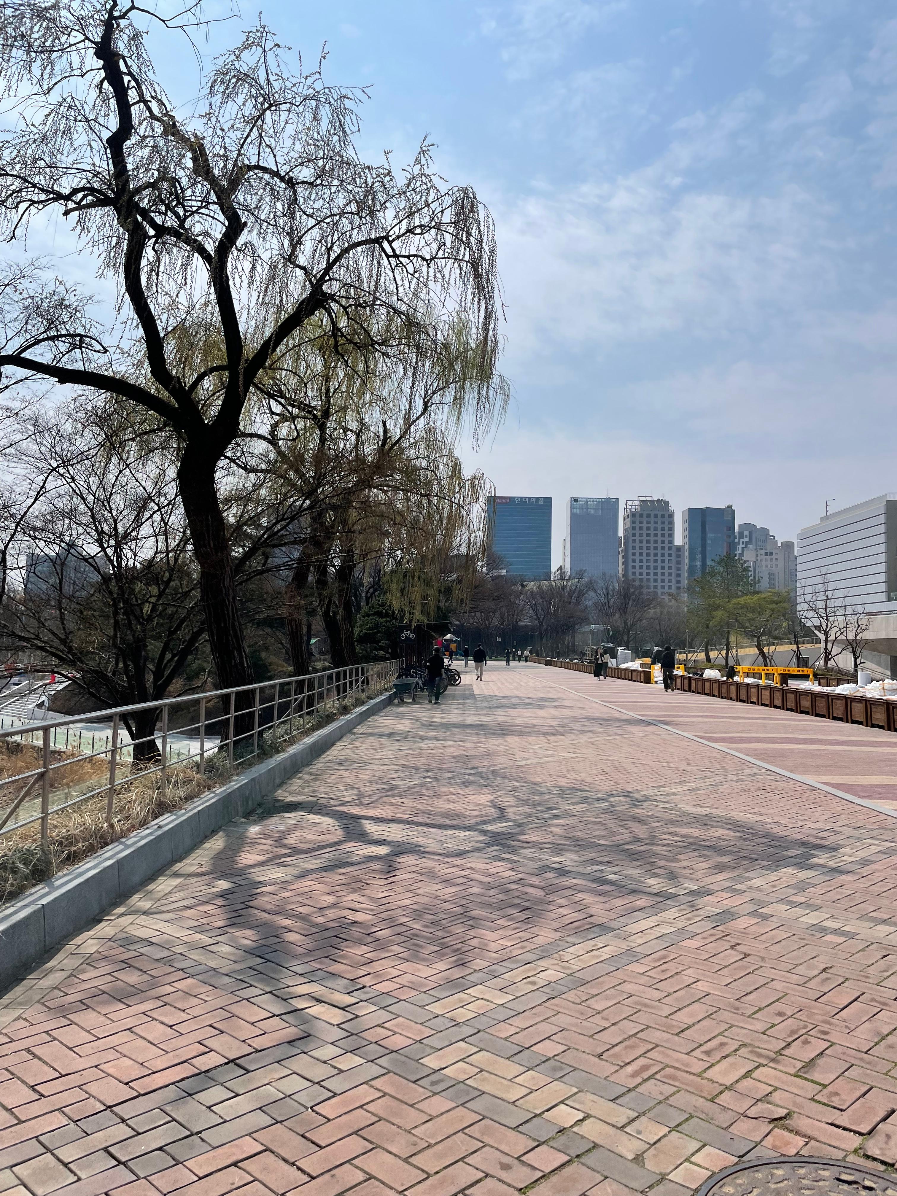 공원에서 혼자 놀기