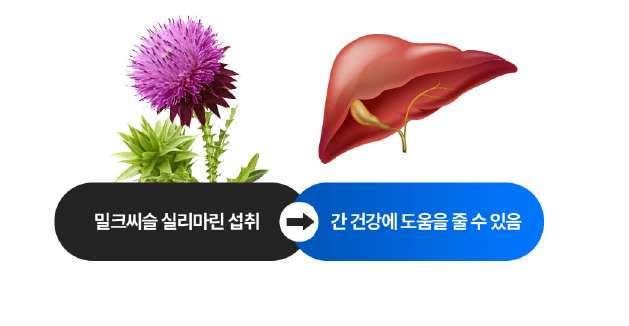파란통 다이어트 14만원 할인 쿠폰 다운받기
