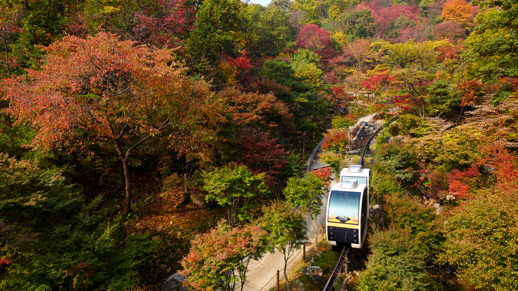 가을 단품 모노레일 모습