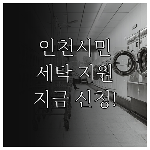 2025 인천 찾아가는 세탁 서비스:..