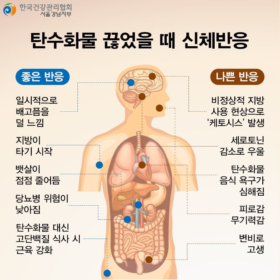 저탄고지, 저탄, 케토시스