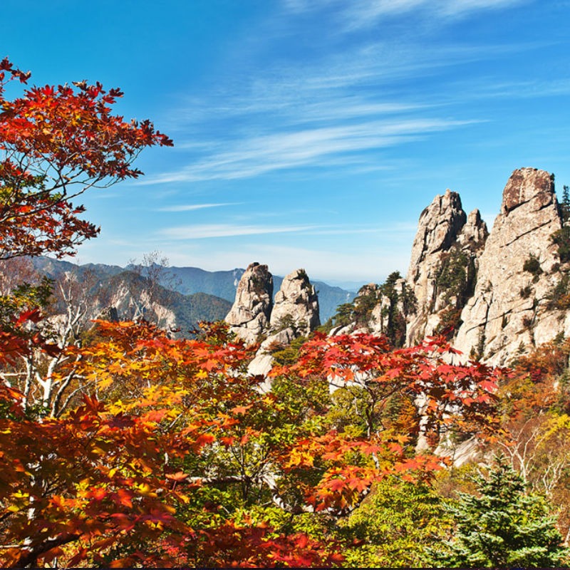내장산 가을 단풍 명소
