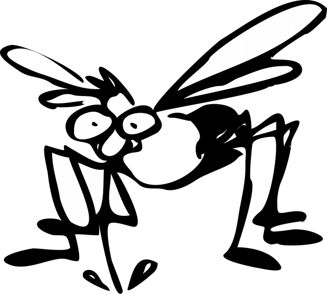 잘때 모기 잡는법: