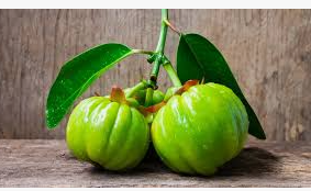 가르시니아 캄보지아34