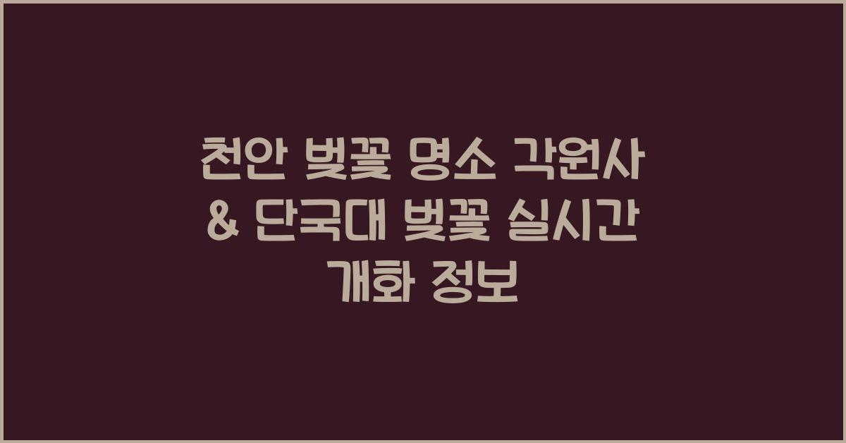 천안 벚꽃 명소
