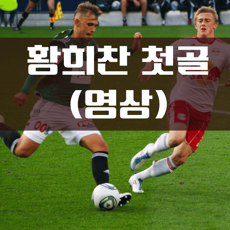 황희찬 울버햄튼