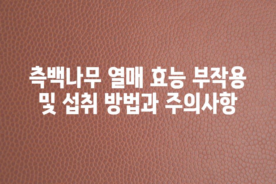 샘플 (49)