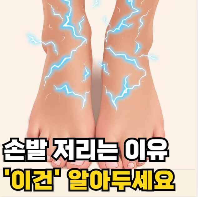 손발이 저리는 이유