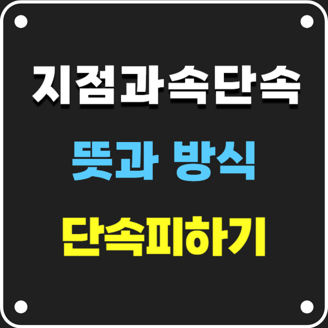 지점과속단속카메라