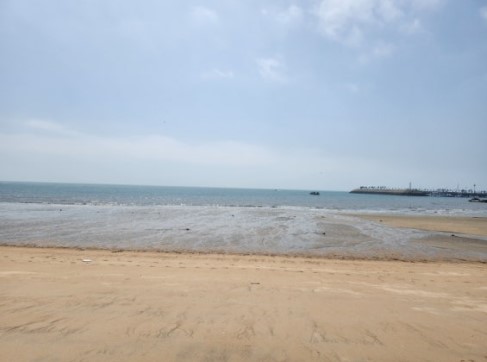 서울인천 근교 추천 해수욕장 관련 사진