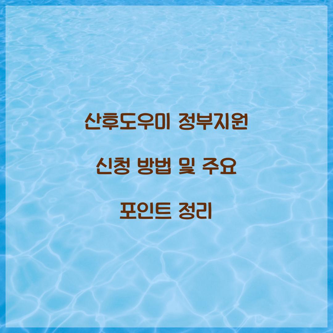 산후도우미 정부지원